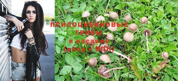 кристаллы Строитель