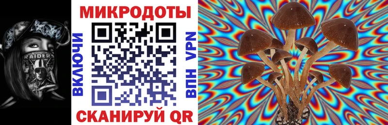 что такое   Бузулук  мориарти клад  Галлюциногенные грибы ЛСД 