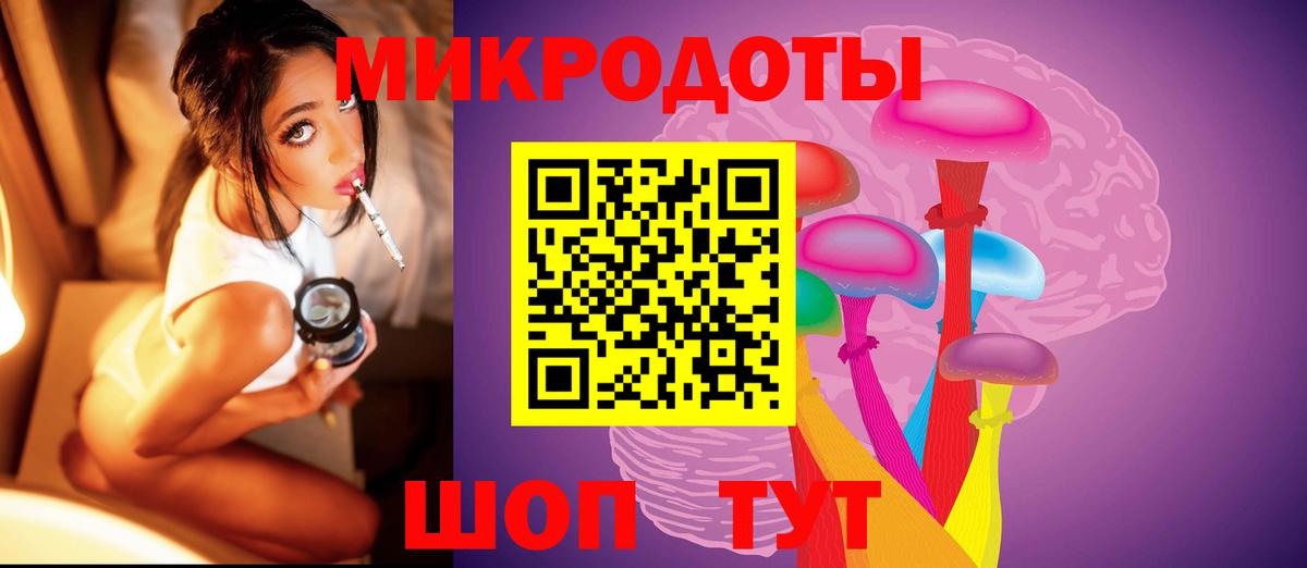 Псилоцибиновые грибы Psilocybine cubensis Бузулук