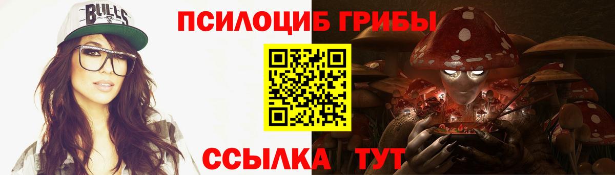 купить закладку  Вход с VPN  Бузулук  Псилоцибиновые грибы Cubensis 
